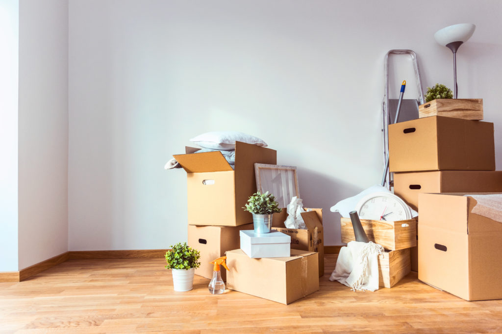 cardboard-boxes-living-room