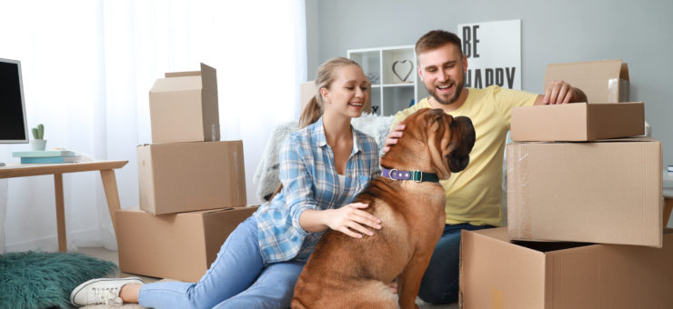 Prepare to Move with Your Pets